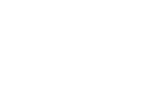 Logo-1981-1